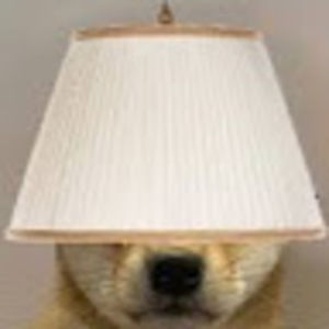 Meet your Posher, Janiee